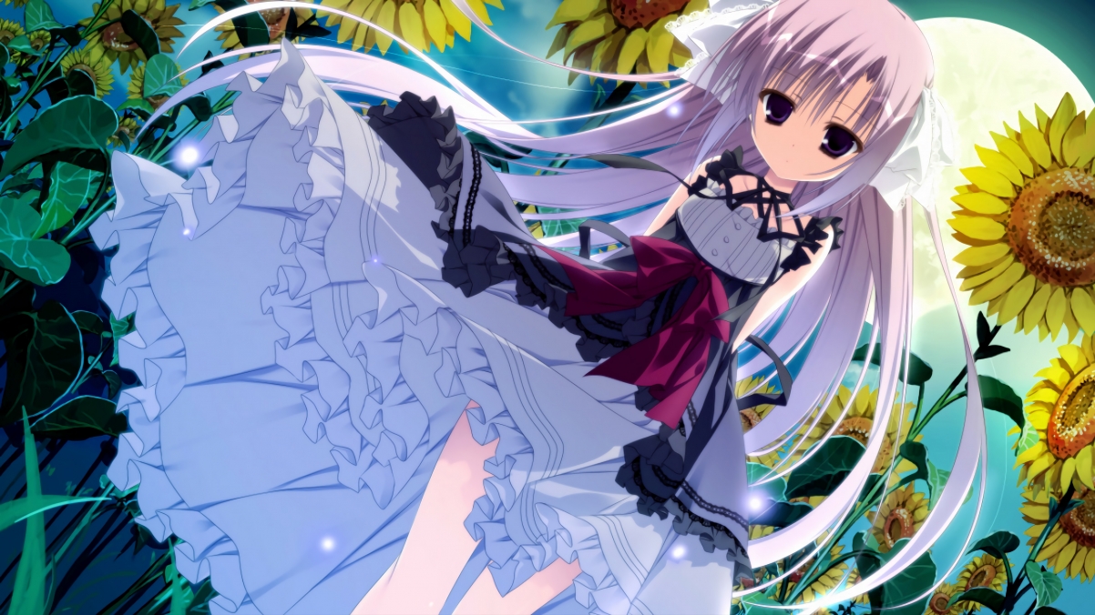 “燃烧你的激情:每一圈都令人激动不已”,燃烧的激情是什么意思