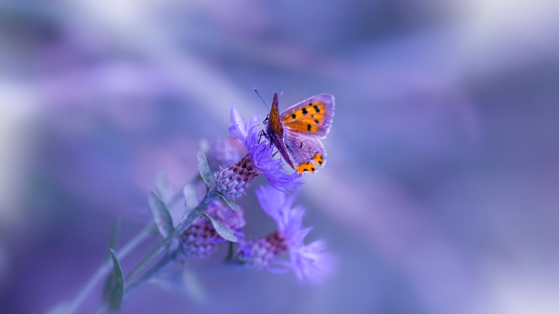 《《使命召唤》新作上线,加入真实物理模拟》,使命召唤实机演示