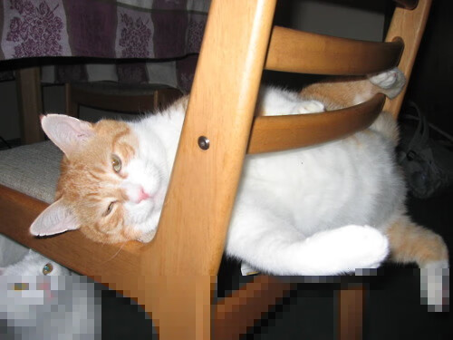 kaiyun官方入口登录-国际足球赛事逐步常态化，竞技水平显著提升，国际足球比赛的比赛时间是多少